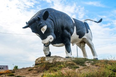 Büyük siyah ve beyaz boğa heykeli