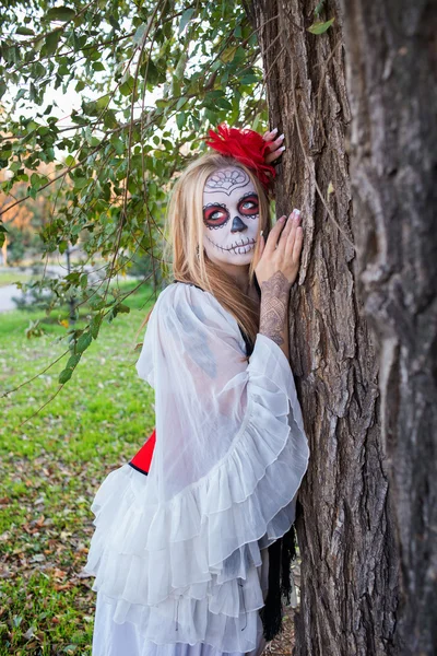 Pigen i billedet af Santa Muerte - Stock-foto