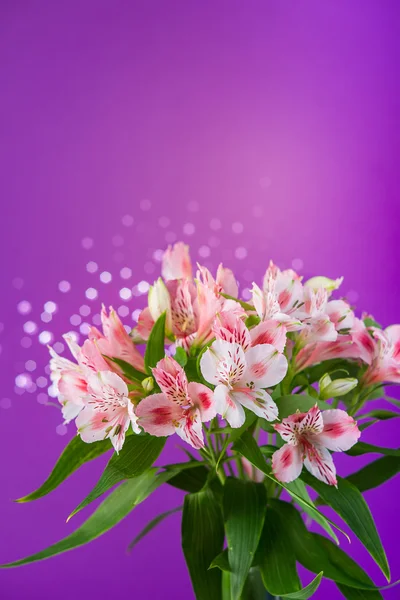 Buket çiçek alstroemeria — Stok fotoğraf