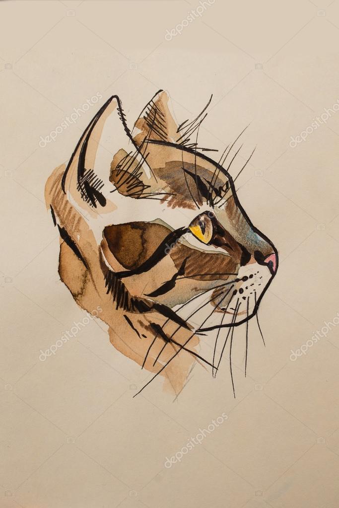 Dessin Tete De Chat De Profil Get Images One