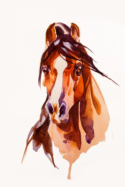 Disegno testa del cavallo — Foto Stock