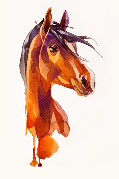 Малювання голови коня — стокове фото