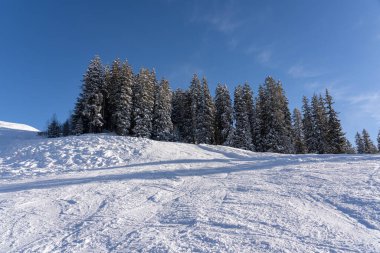 Donmuş ormanla kaplı kar tepesi beyaz bulutlu mavi gökyüzüne karşı. Hasliberg, İsviçre.