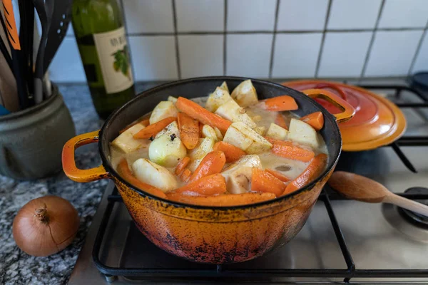 橙色砂锅 胡萝卜和芹菜 放在煤气炉上 洋葱上结了丁香 为概念烹调风景 — 图库照片