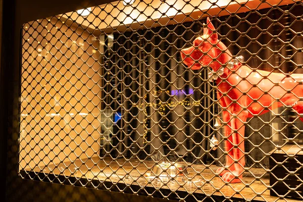 Süslü ve ışıklı vitrinli lüks mücevherleri olan kırmızı köpek. Bahnhofstrasse Zürih 'in yan sokağında Noel alışverişi. Zürih, 19 yaşında. Aralık 2020.