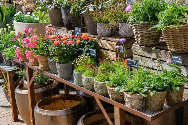 Multicolored flower in pots and empty big pots for sale outdoor in stand of flower shop.