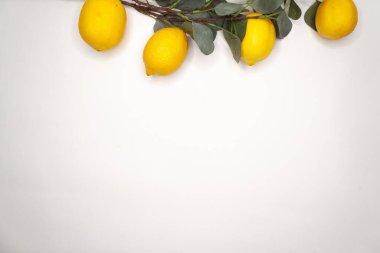 Beyaz arka planda sebze ve meyveler