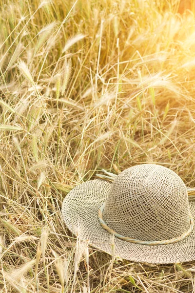 Field of wheat with a straw hat — Stock Photo, Image