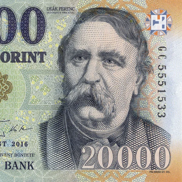 Magyar forint, portré — Stock Fotó