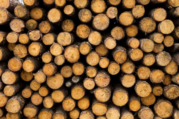 doğranmış ahşap kereste