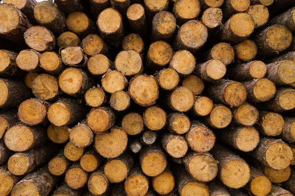Chopped wood texture — Stock Photo, Image