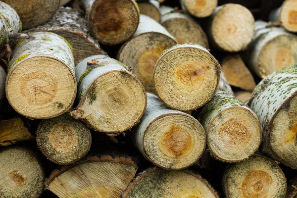 Stacked logpile, firewood — Stock Photo, Image