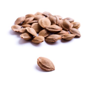 Kayısı çukurlar yığını