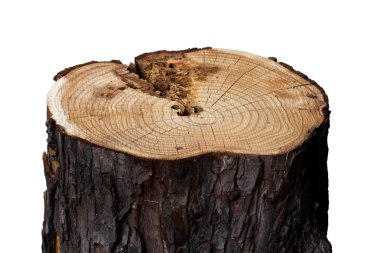 güdük günlük yangın ahşap