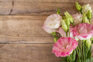 Pembe ve beyaz ranunculus çiçekleri