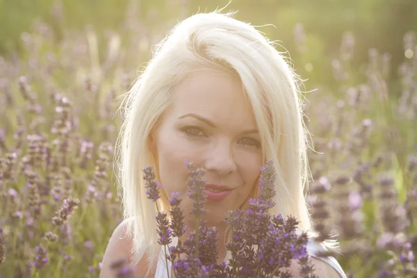 Girl on the lavender field — Stock Photo, Image