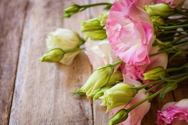 Pembe ve beyaz ranunculus çiçekleri