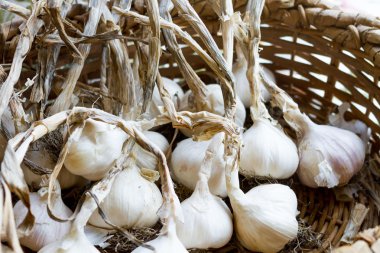 sepet içinde sarımsak