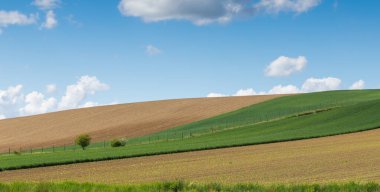 Mavi gökyüzü ve bulutlu yeşil eğimli çayırlar