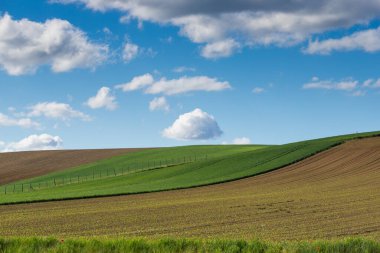 Mavi gökyüzü ve bulutlu yeşil eğimli çayırlar