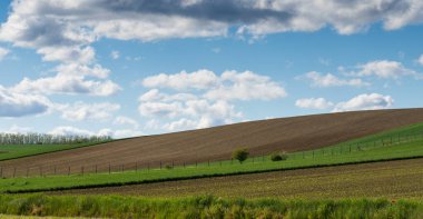 Mavi gökyüzü ve bulutlu yeşil eğimli çayırlar