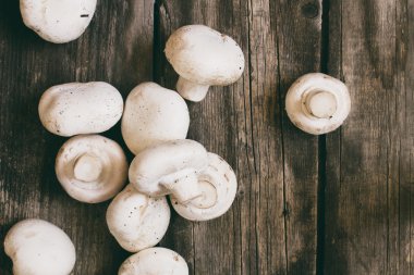 ahşap üzerine champignon