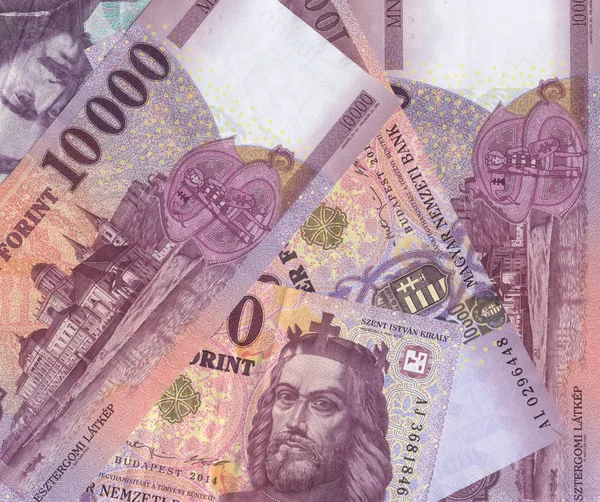 Magyar forint bankjegyek — Stock Fotó