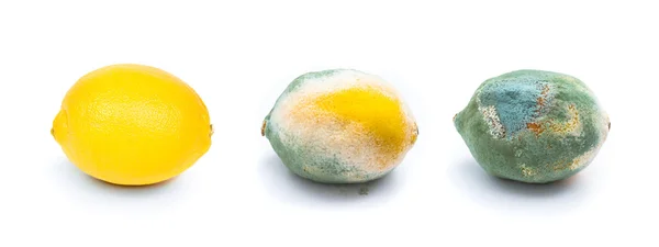 beyaz üzerine üç limon