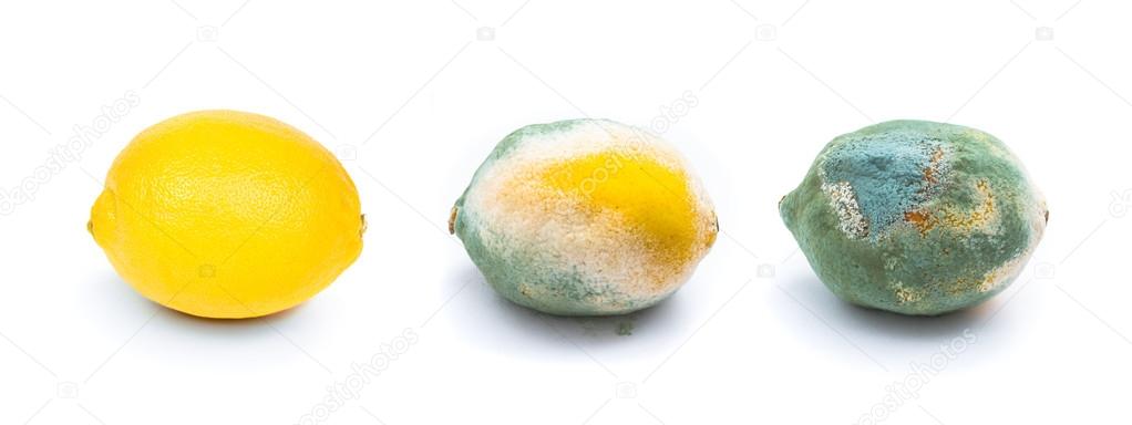 three lemons on white