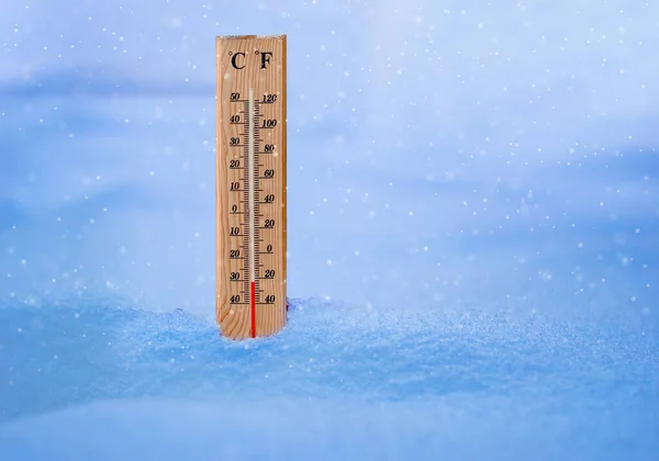 吹雪時の木の温度計で寒さを測定 — ストック写真