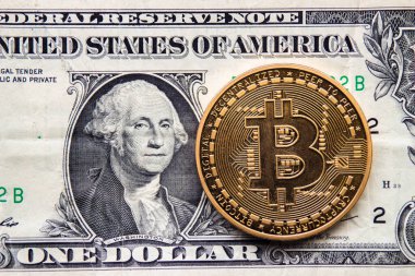 Calgary, Alberta. Kanada mı? 29 Ocak 2021. Arka planda Amerika Birleşik Devletleri para birimi olan bir Bitcoin.