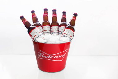 Calgary Alberta, Kanada. Nisan 02, 2021. Budweiser Bira Kovası. Beyaz arka planda altı bira şişesi ile Amerikan tarzı soluk bira..
