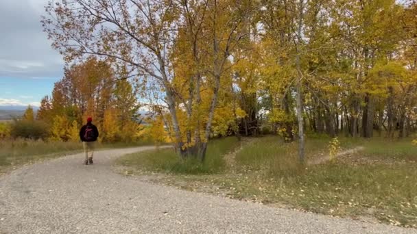 Een Persoon Lopend Een Nose Hills Publiek Park Calgary Alberta — Stockvideo