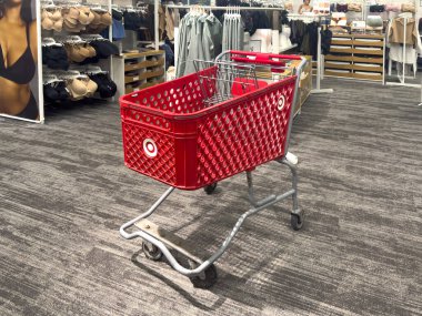 Chicago, Illinois, ABD. 11 Ekim 2025. Bir 