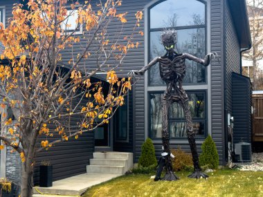 Calgary, Alberta, Kanada. Kasım 1, 2025. Siyah modifiye edilmiş Toyota Tacoma, bir banliyö caddesinde park edilmiş, vinç tamponu, şnorkel, çatı rafı ve geniş off-road lastikleri var.