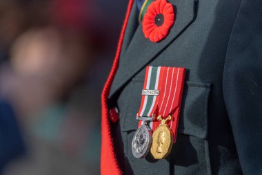Calgary, Alberta, Kanada. 11 numara, 2025. Anma Günü 'nde Calgary Memorial Park' ta koyu renk bir askeri cekete takılmış kırmızı haşhaş..