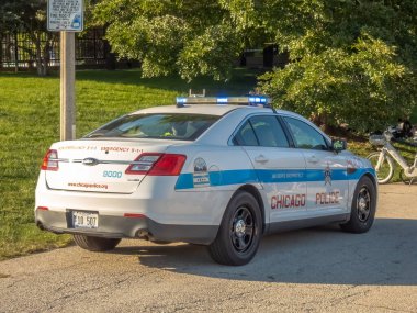 Chicago, Illinois, ABD. 12 Kasım 2025. Chicago Polis devriye arabası, aktif mavi ışıklarla, işaretli Chicago POLİS harfleri ve amblemi ağaçlar ve asfalt bir yol tarafından park edilmiş.
