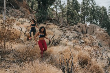 Arkadaşlar Doğayı Keşfeder Konsepti