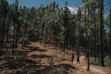 Arkadaşlar Doğayı Keşfeder Konsepti