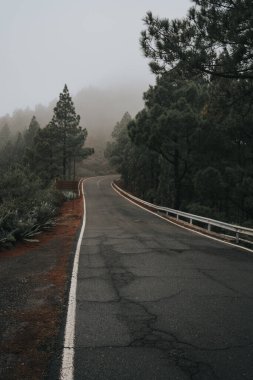 Kanarya adalarında sisli dağ manzarası