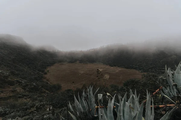 Krajobraz górski z mgłą na Wyspach Kanaryjskich — Zdjęcie stockowe