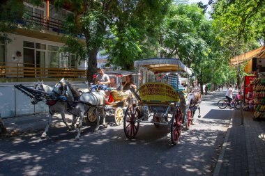 BUYUKADA, TURKEY, 26 Temmuz 2019, Princes 'Islands Buyuk ada, İstanbul, Türkiye. Prince Adaları 'nda Phaeton turu. Türkçe 
