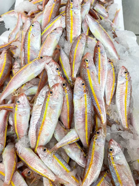 Captura Fresca Peixe Mediterrâneo Caixas Num Mercado Rua Peixes Tainha — Fotografia de Stock