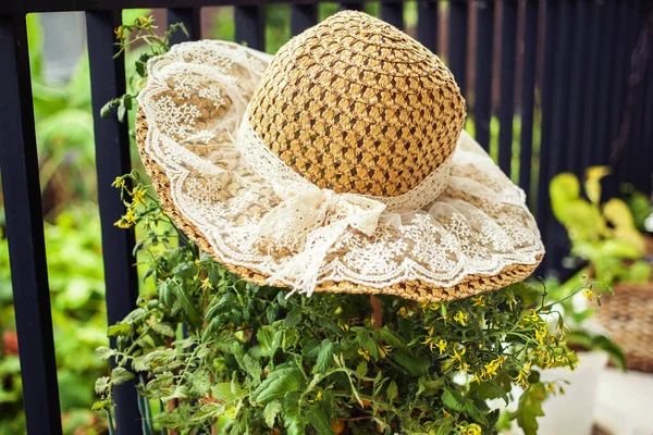 Grazioso Cappello Paglia Pizzo Cespuglio Pomodoro Fiore Giardino Balcone — Foto Stock