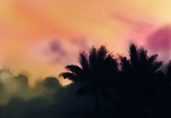 Siluety Palem Při Západu Slunce Ručně Kreslený Tropický Ráj Setmění — Stock fotografie