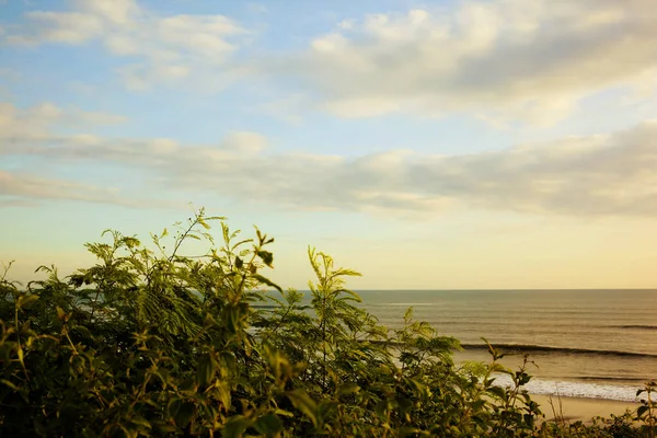 Прекрасний Спокійний Фон Морським Пейзажем Зеленню Золоті Години — стокове фото