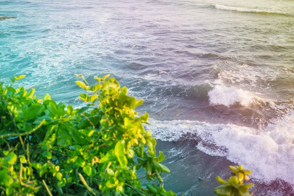 Красиві Хвилі Штормового Океану Яскраво Зелене Дерево Тропічному Раю — стокове фото