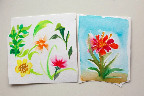Virágos firkák, akvarell papíron. Tavaszi virág. — Stock Fotó
