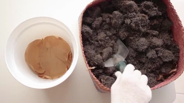흙손을 사용하여 화분에 흙을 부어넣는 정원사. — 비디오