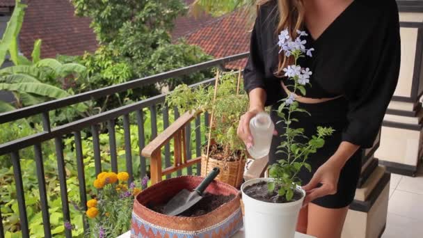 Kobiecy ogrodnik podlewający i pachnący niebieską rośliną — Wideo stockowe